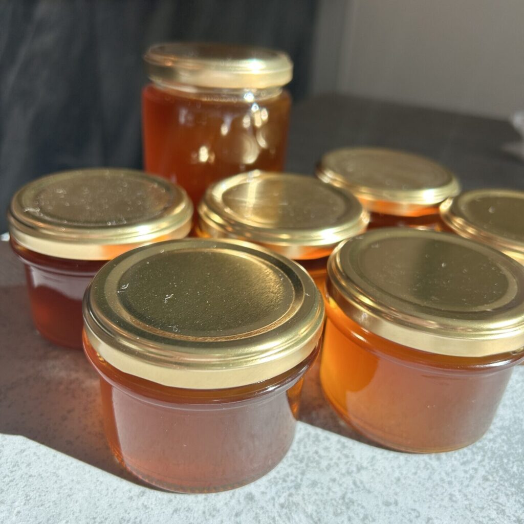 出来立てのギー